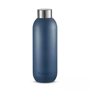 STICLA P/U APA STELTON 0,75 L INOX în Moldova