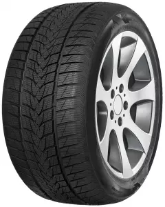TRISTAR 205/55R16 91H SNOWPOWER UHP в Молдове