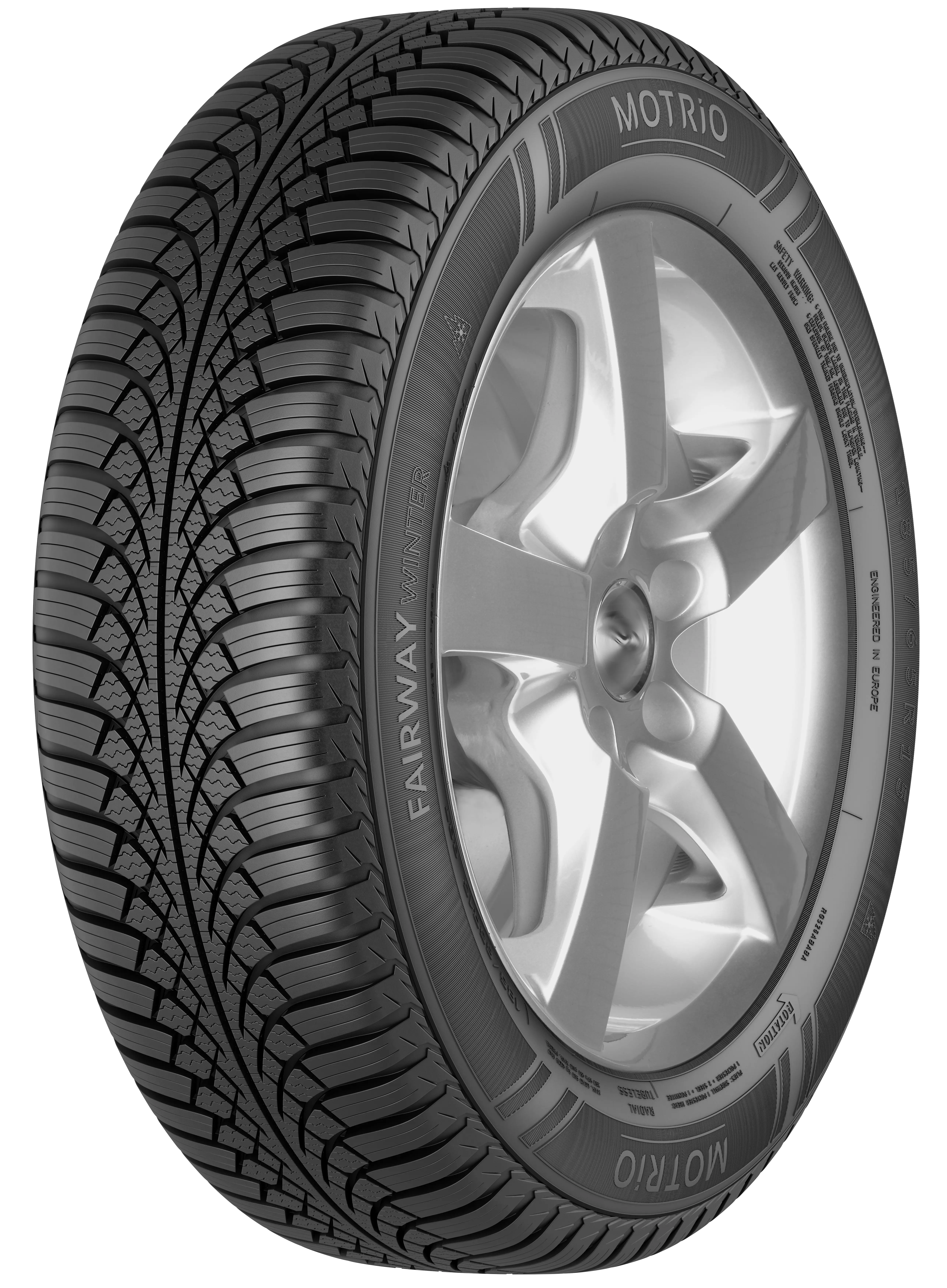 MOTRIO 205/55R17 95V Fairway Winter XL в Молдове