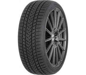GRIPMAX 195/55R20 95H SureGrip Pro Winter XL в Молдове