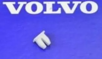 PILIUTA PLASTIC în Moldova