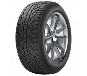 RIKEN 215/60R17 96H SUV SNOW в Молдове