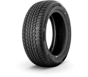 NORDEXX 195/65R15 91H WinterTrac в Молдове