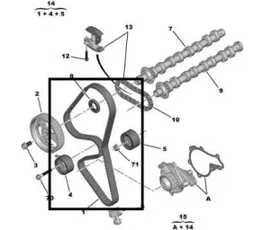 SET DE REPAR CUREA DISTRIBUTIE MOTOR DV6 în Moldova