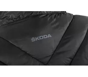 Jacheta Skoda în Moldova