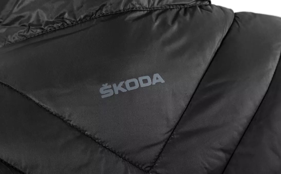 Jacheta Skoda în Moldova