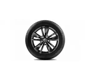 Колесо-З 215/55 R17 Ultragrip Perfomance + 7.0J x17 ET45 Triton black (L) KAROQ в Молдове