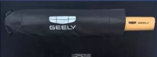 Geely Coolray — Зонт в Молдове