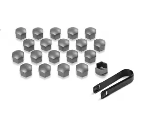 Capac surub roata Grey matt set în Moldova
