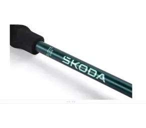 Палки трекинговые SKODA в Молдове
