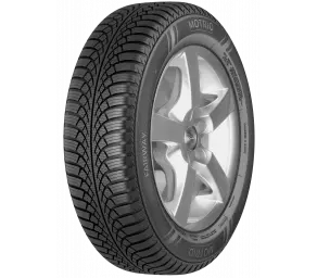 MOTRIO 185/65R15 88T Fairway Winter в Молдове