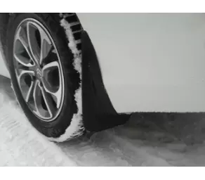 Брызговики Задн. Набор 2 шт. С4 Sedan в Молдове