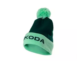 Шапка зимняя зелёная (Unisex) Skoda в Молдове