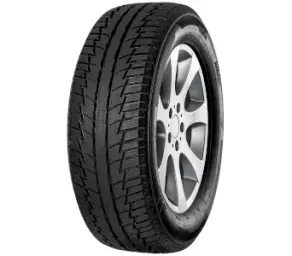 Anvelopă iarnă FORTUNA 215/60R17 96H WINTER SUV în Moldova