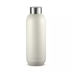 STICLA P/U APA STELTON 0,75 L INOX în Moldova