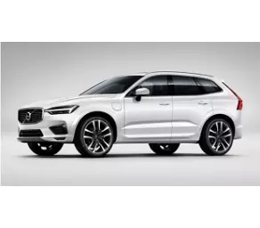 Комплект Защитного Обвеса Декор. (Pine Grey)  XC60 (18-) в Молдове