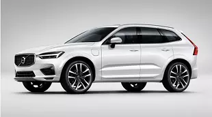 Комплект Защитного Обвеса Декор. (Pine Grey)  XC60 (18-) в Молдове