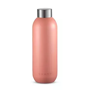 STICLA P/U APA STELTON 0,75 L INOX în Moldova