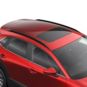 Релинги Крыши Черные Аллюмин. CX-30 DM в Молдове